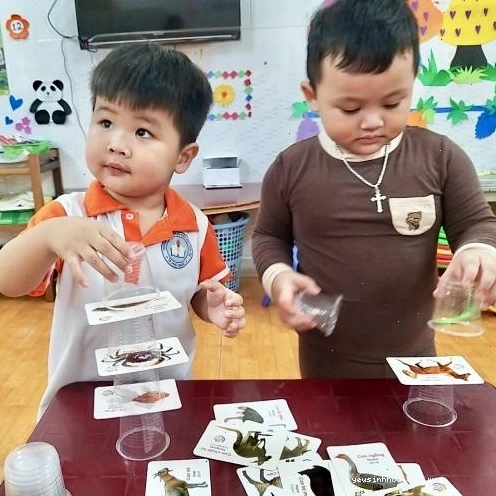 Ong thụ phấn cho hoa