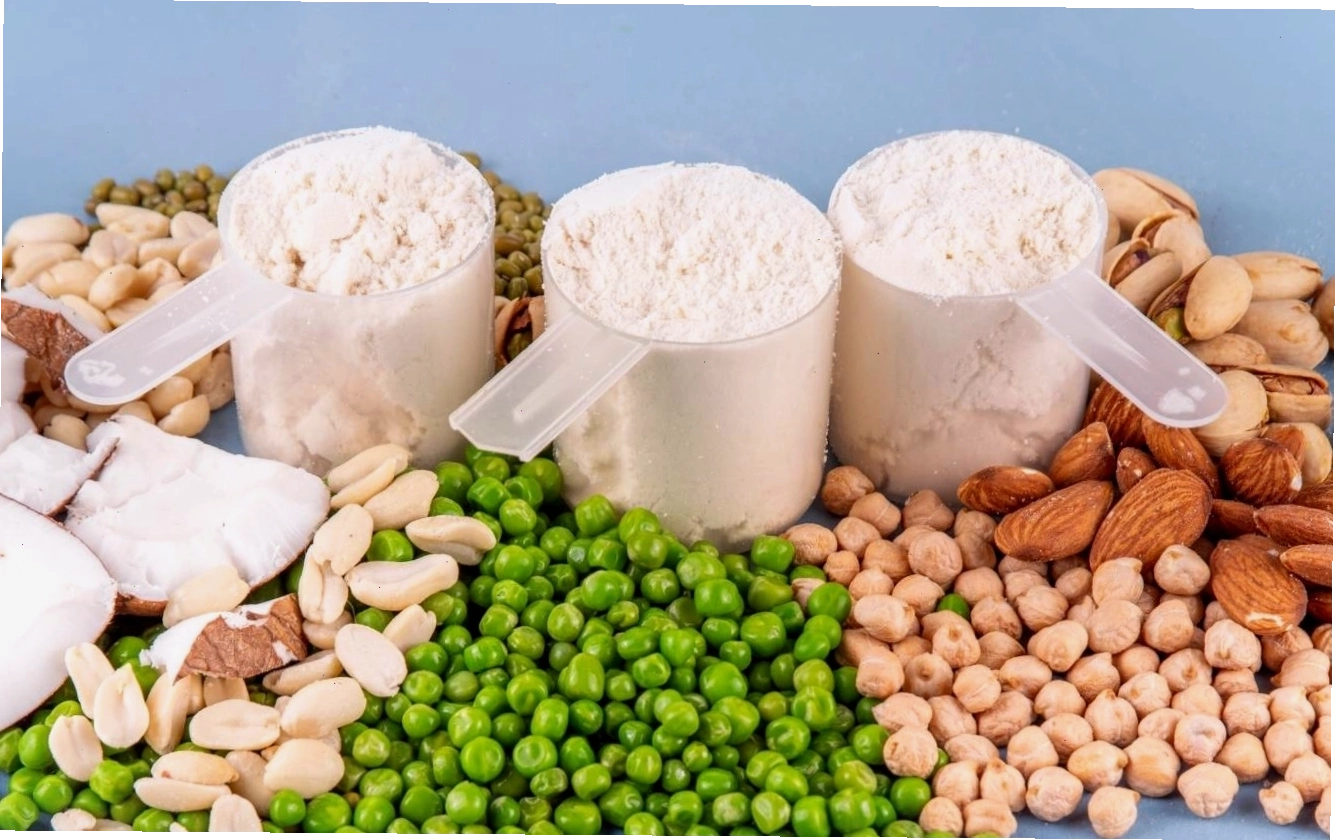 Protein thực vật hỗ trợ phục hồi cơ bắp