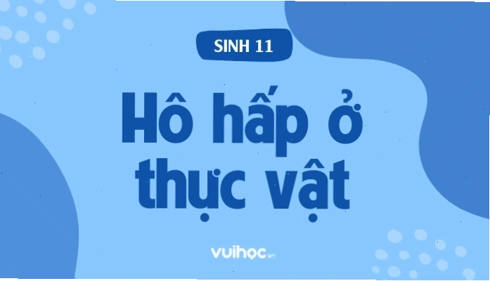 Quá trình hô hấp ở thực vật diễn ra tại nhiều bộ phận