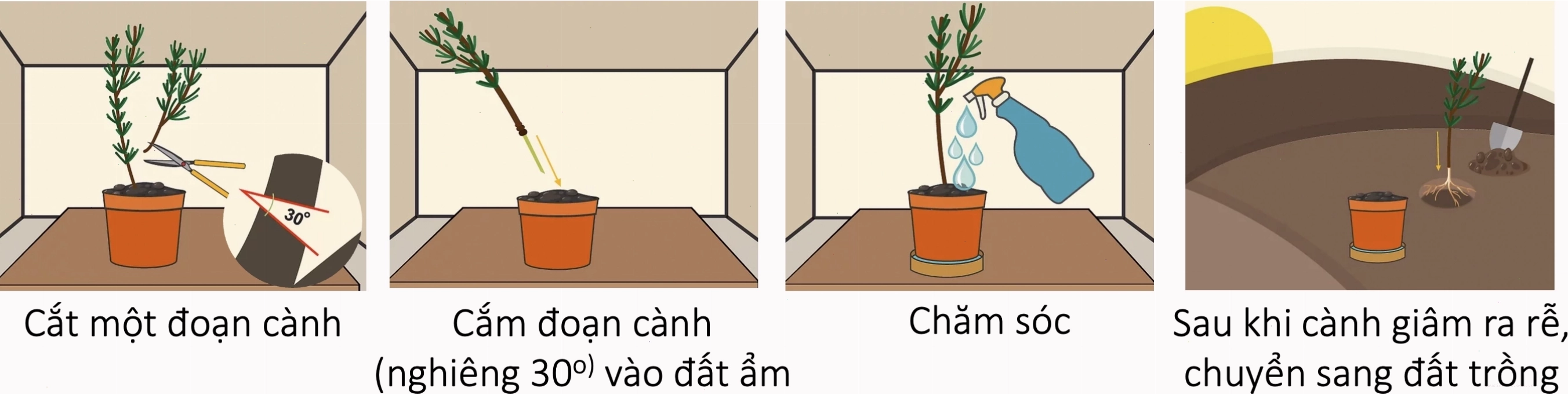 Quá trình thụ tinh kép ở thực vật