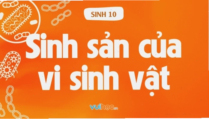 Quy trình phân đôi ở vi sinh vật nhân sơ
