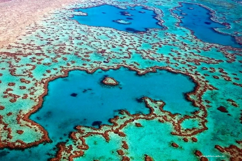 Rạn san hô Great Barrier với đa dạng sinh vật biển