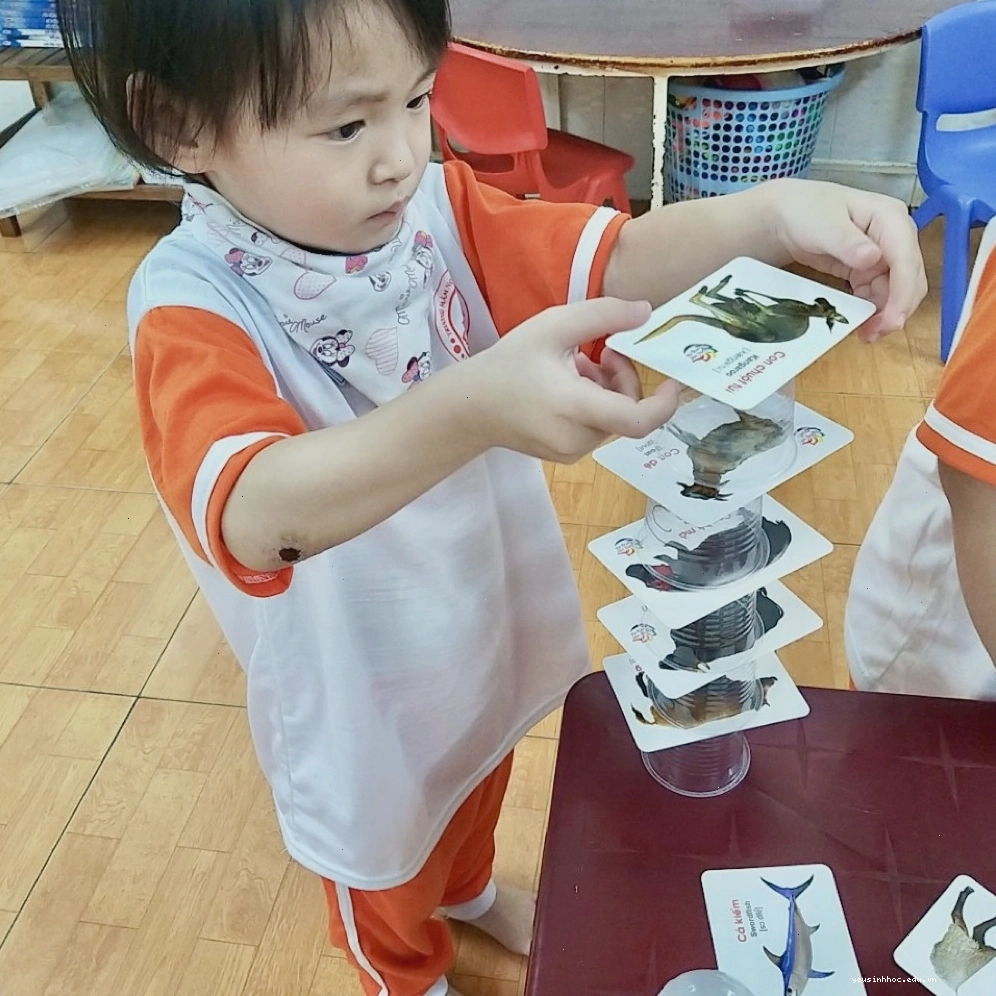 Rùa cạn di chuyển chậm chạp