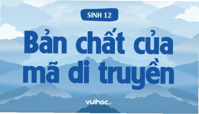 Sơ đồ minh họa cấu trúc mã di truyền với các bộ ba nucleotide (codon)