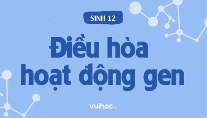 Sơ đồ minh họa cơ chế điều hòa hoạt động gen