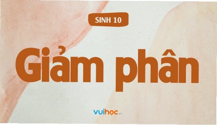 Sơ đồ minh họa quá trình giảm phân tạo giao tử