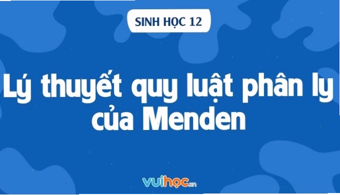 Sơ đồ minh họa thí nghiệm lai hai tính trạng của Mendel