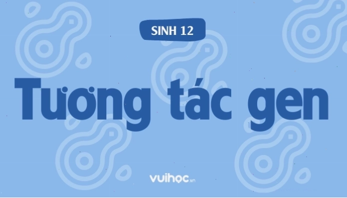 Sơ đồ minh họa tương tác bổ sung của gen