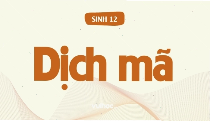 Sơ đồ tổng quát quá trình dịch mã sinh học