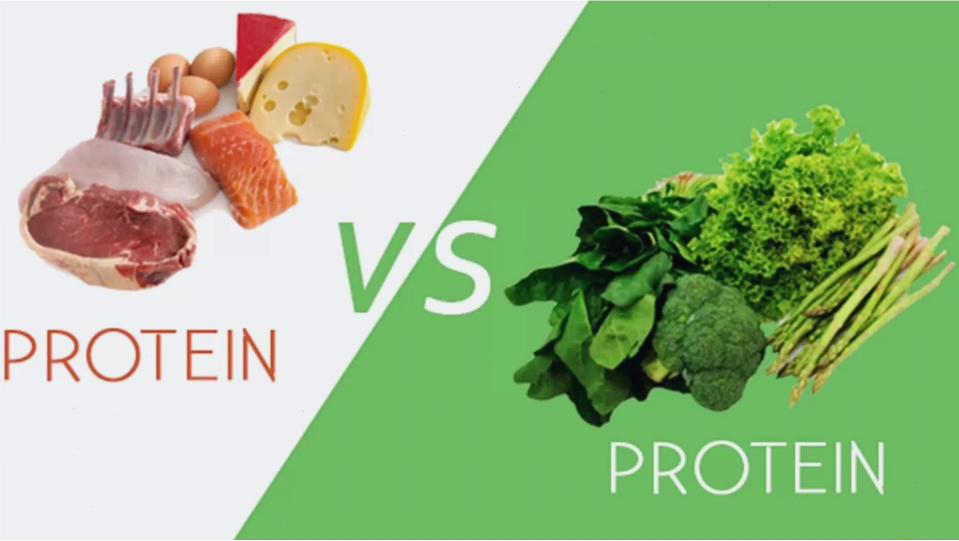 So sánh protein động vật và thực vật
