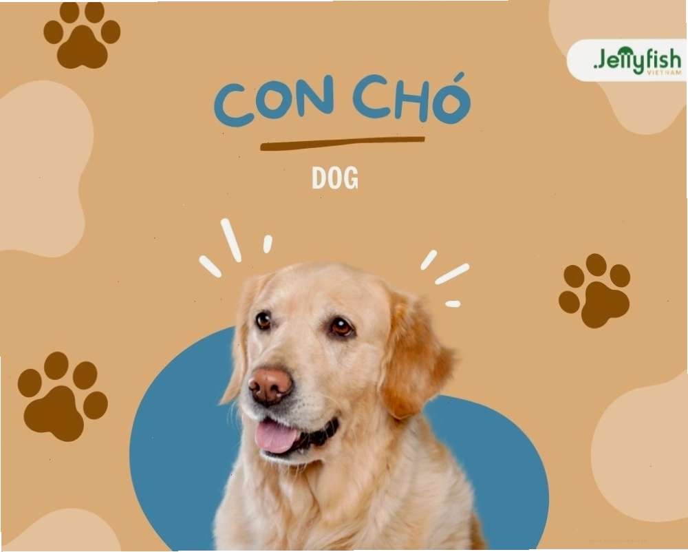Sự đa dạng các loài động vật trên cạn và dưới nước
