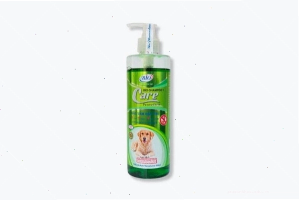 Sử dụng sữa tắm trị rận chuyên dụng cho mèo