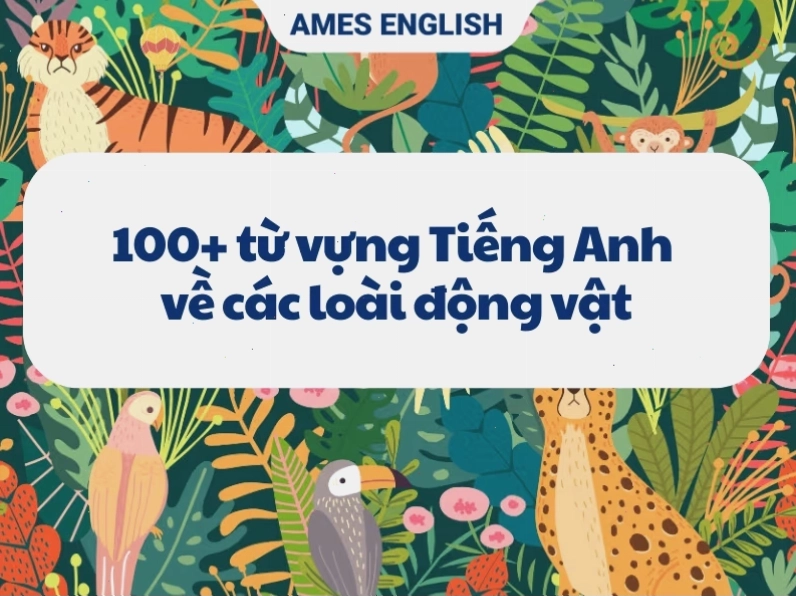 Sư tử dũng mãnh, một biểu tượng của động vật hoang dã