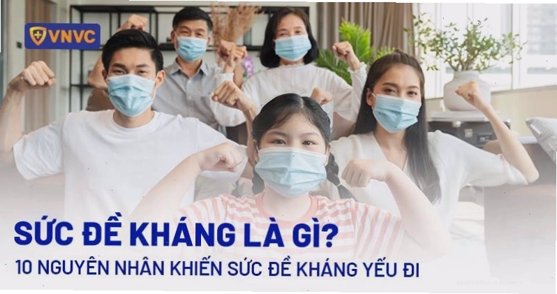 Sức đề kháng là gì? Khái niệm và vai trò của hệ miễn dịch