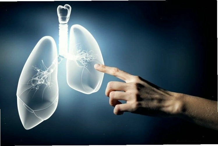 Suy giảm miễn dịch làm tăng nguy cơ mắc bệnh viêm phổi