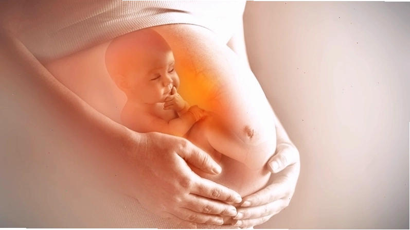 Tầm quan trọng của giấc ngủ đối với hệ miễn dịch