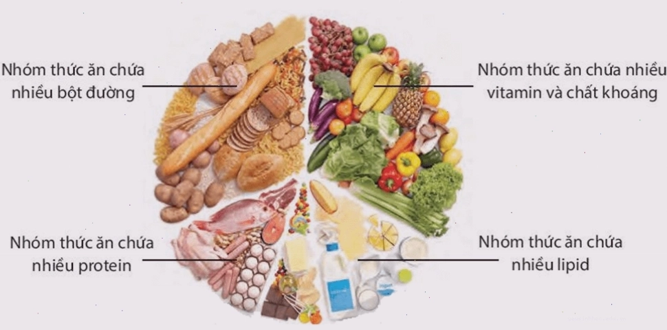 Tầm quan trọng của nước và dinh dưỡng đối với sinh vật