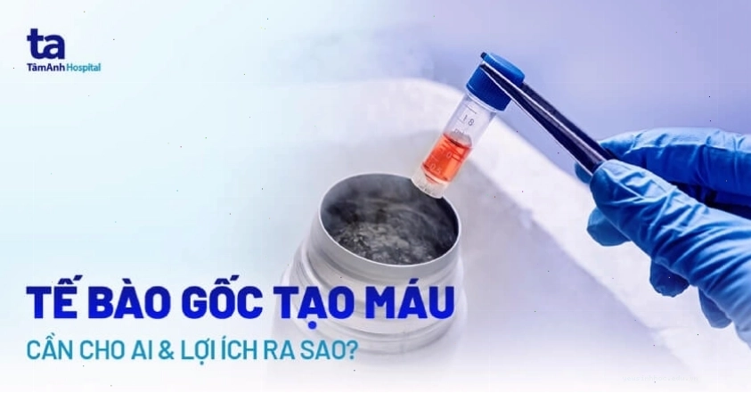 Tế bào gốc tạo máu