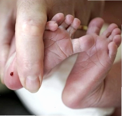 Thai nhi trong bụng mẹ và tầm quan trọng của sàng lọc sơ sinh