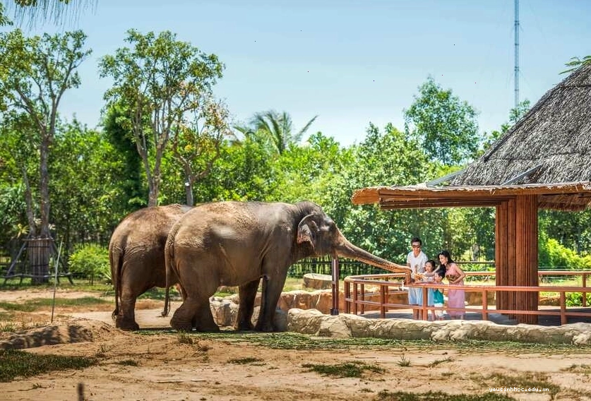Tham quan khu bảo tồn động vật