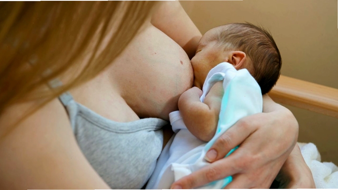 Trẻ sơ sinh nên bú mẹ hoàn toàn trong giai đoạn đầu đời để tăng cường miễn dịch