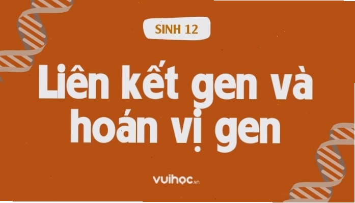 Ứng dụng của nghiên cứu liên kết gen trong chọn giống và y học