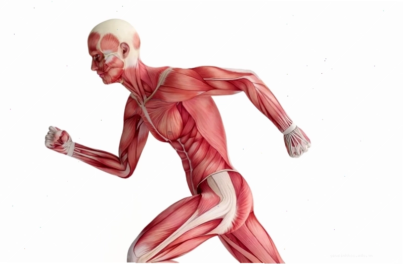 Ứng dụng kiến thức hệ cơ quan thực vật