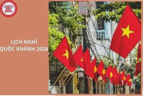 Ủng hộ các tổ chức bảo tồn động vật hoang dã