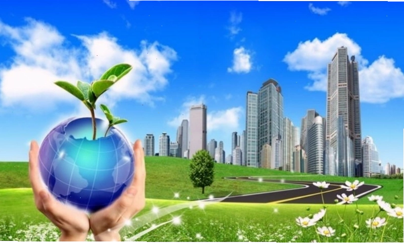 Vai trò của thực vật trong đời sống và công nghiệp