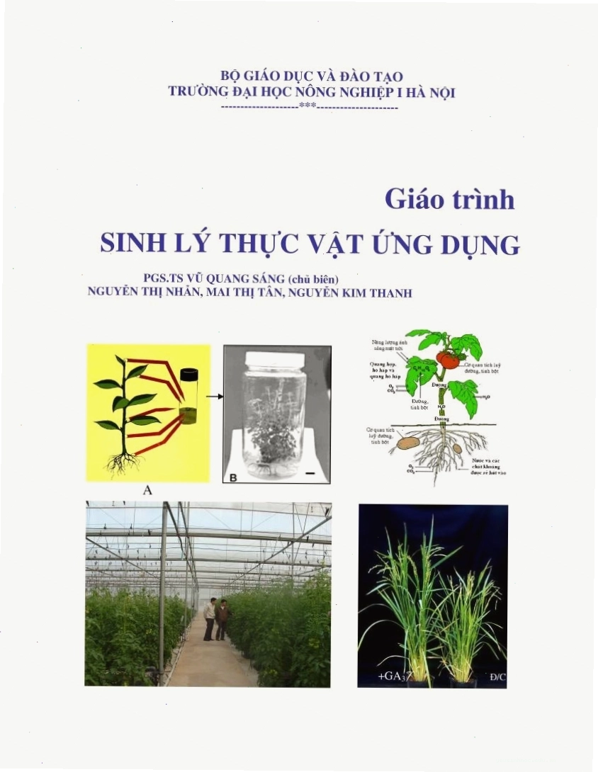 Vai trò sinh lý của các hoocmôn thực vật trong đời sống cây trồng