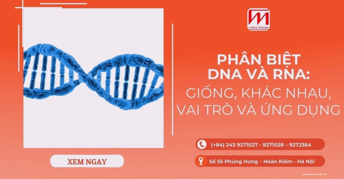 Vai trò và ứng dụng của DNA và RNA trong khoa học và y học