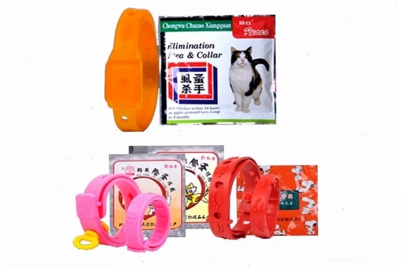 Vệ sinh chăn gối để diệt rận mèo