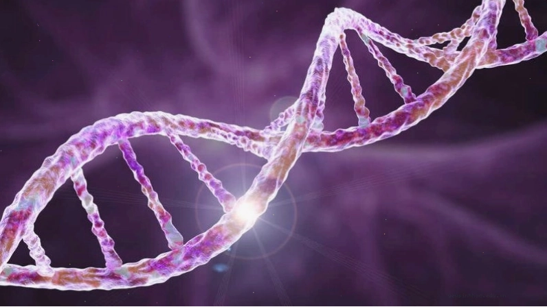 Việc bổ sung axit nucleic cần có sự điều chỉnh hợp lý