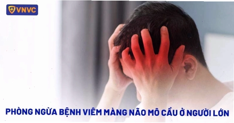Viêm màng não mô cầu ở người lớn