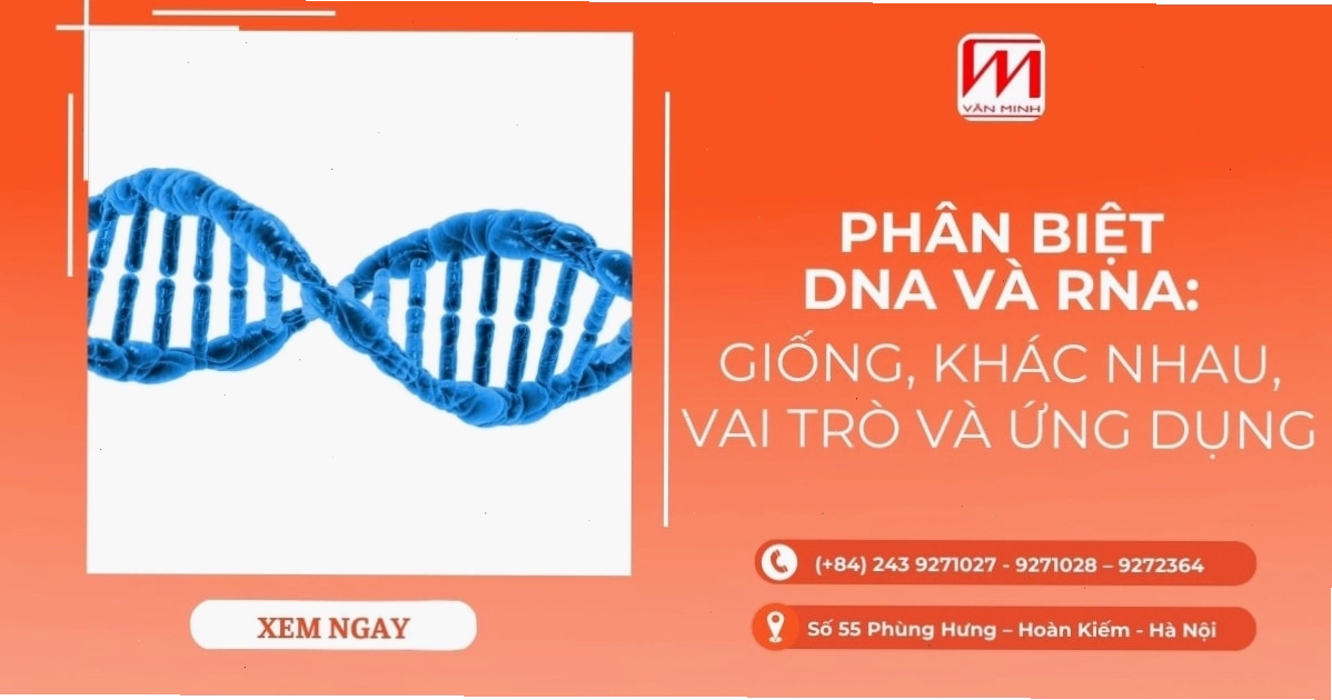 Virus Viêm gan C và vật liệu di truyền HCV RNA