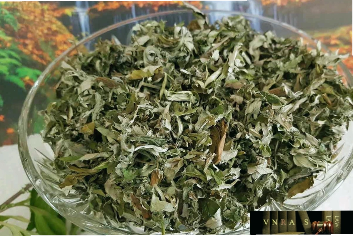 Vương Ngạn Lâm lịch lãm trong bộ vest