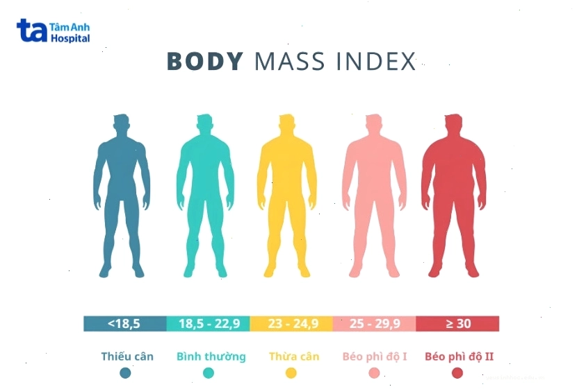 Xác định thừa cân qua chỉ số BMI và các thông số khác