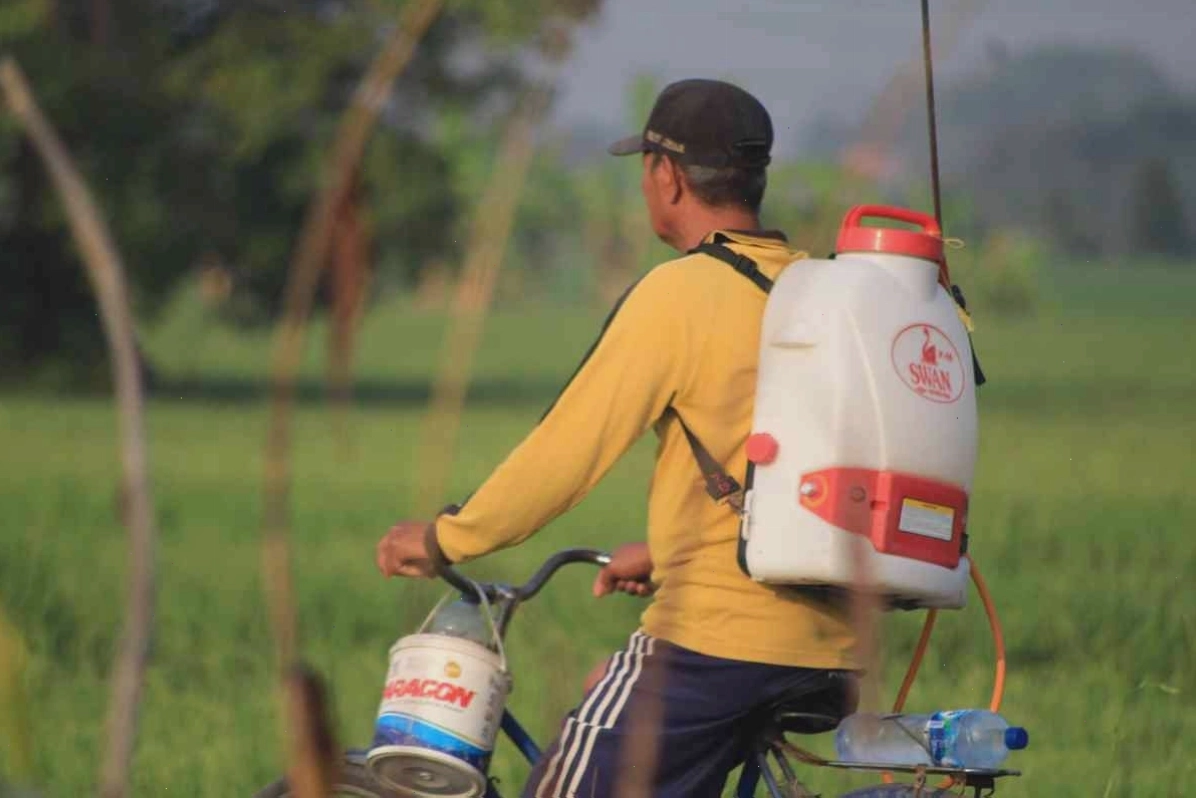 Xu hướng phát triển thuốc bảo vệ thực vật sinh học tại Việt Nam