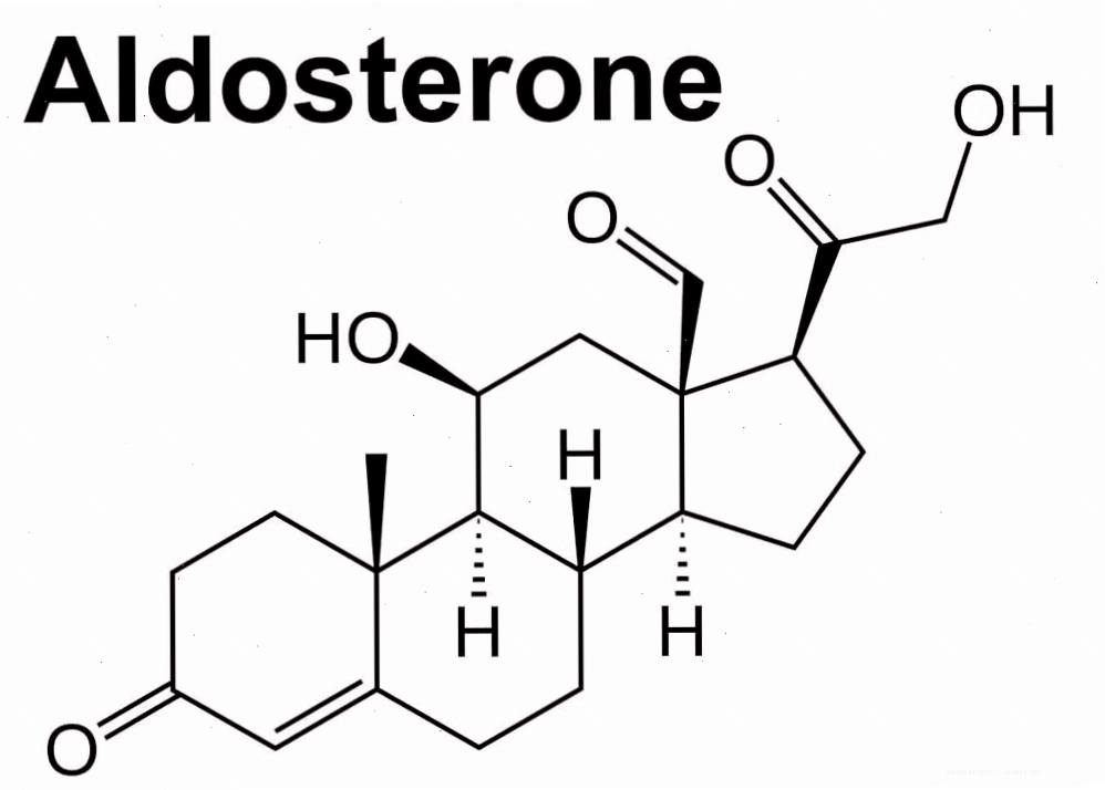 Cấu trúc aldosterone và vai trò cân bằng điện giải