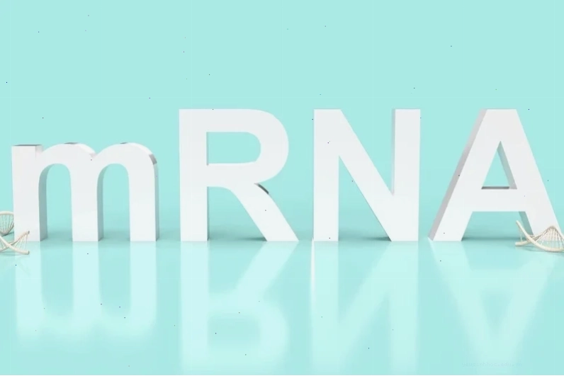 Cơ chế hoạt động của vắc xin mRNA