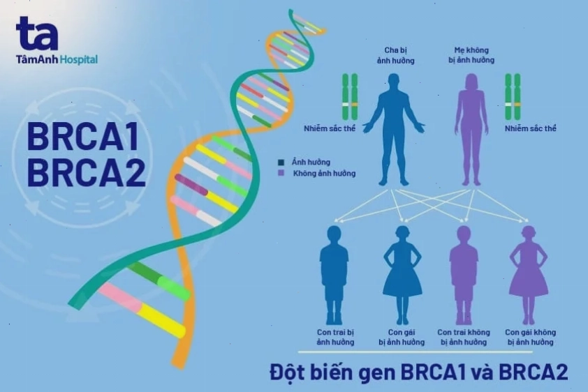 Khi nào cần xét nghiệm BRCA