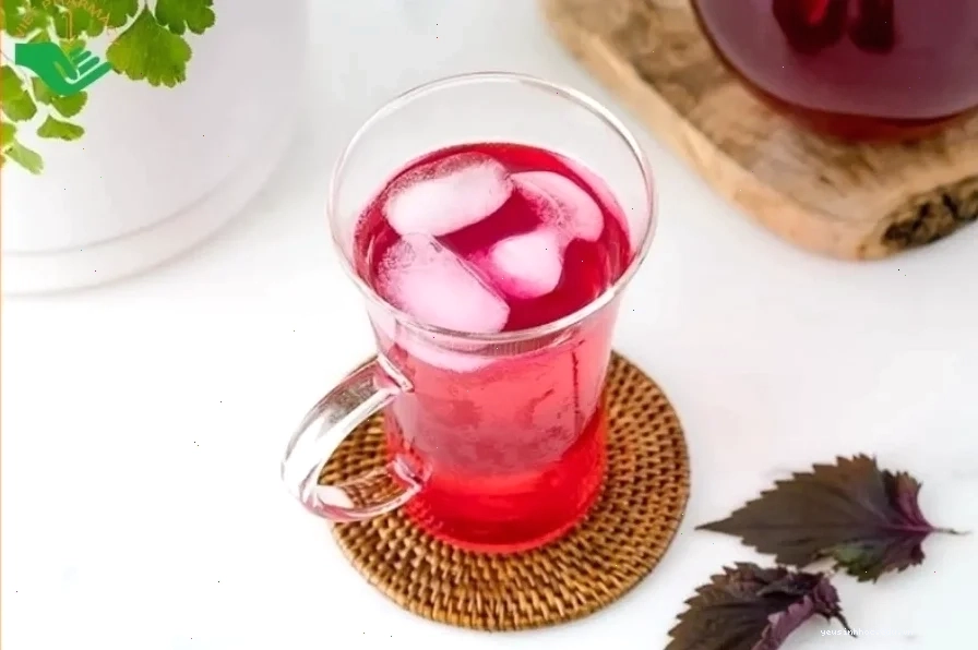Kiên trì uống nước lá tía tô để thấy hiệu quả làm trắng da