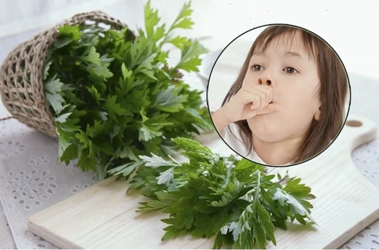 Lá ngải cứu có nhiều công dụng chữa bệnh