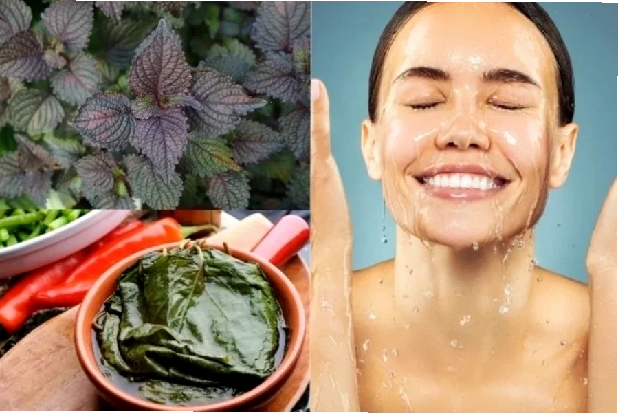 Rửa mặt với nước tía tô giúp làm sạch da