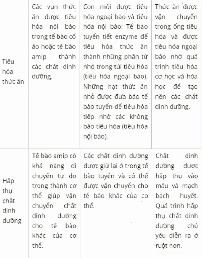 Sự thay đổi sức trương nước trong tế bào bảo vệ khí khổng