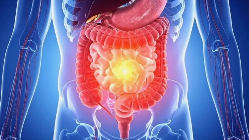 Thời gian tiêu hóa thức ăn ở ruột non