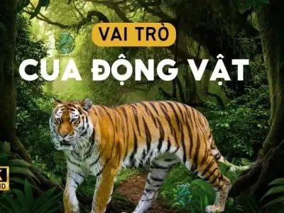 Vai trò của động vật đối với con người và môi trường