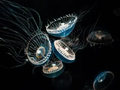 Sự đa dạng và phân bố của động vật phát sáng trên thế giới