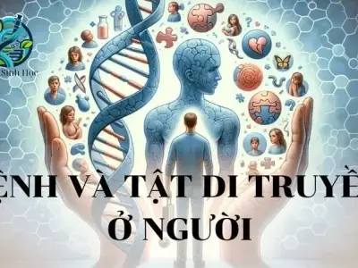 Bệnh và tật di truyền ở người