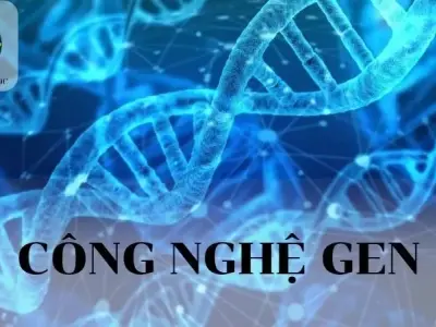 Công nghệ Gen - Các lĩnh vực ứng dụng chính của công nghệ Gen 